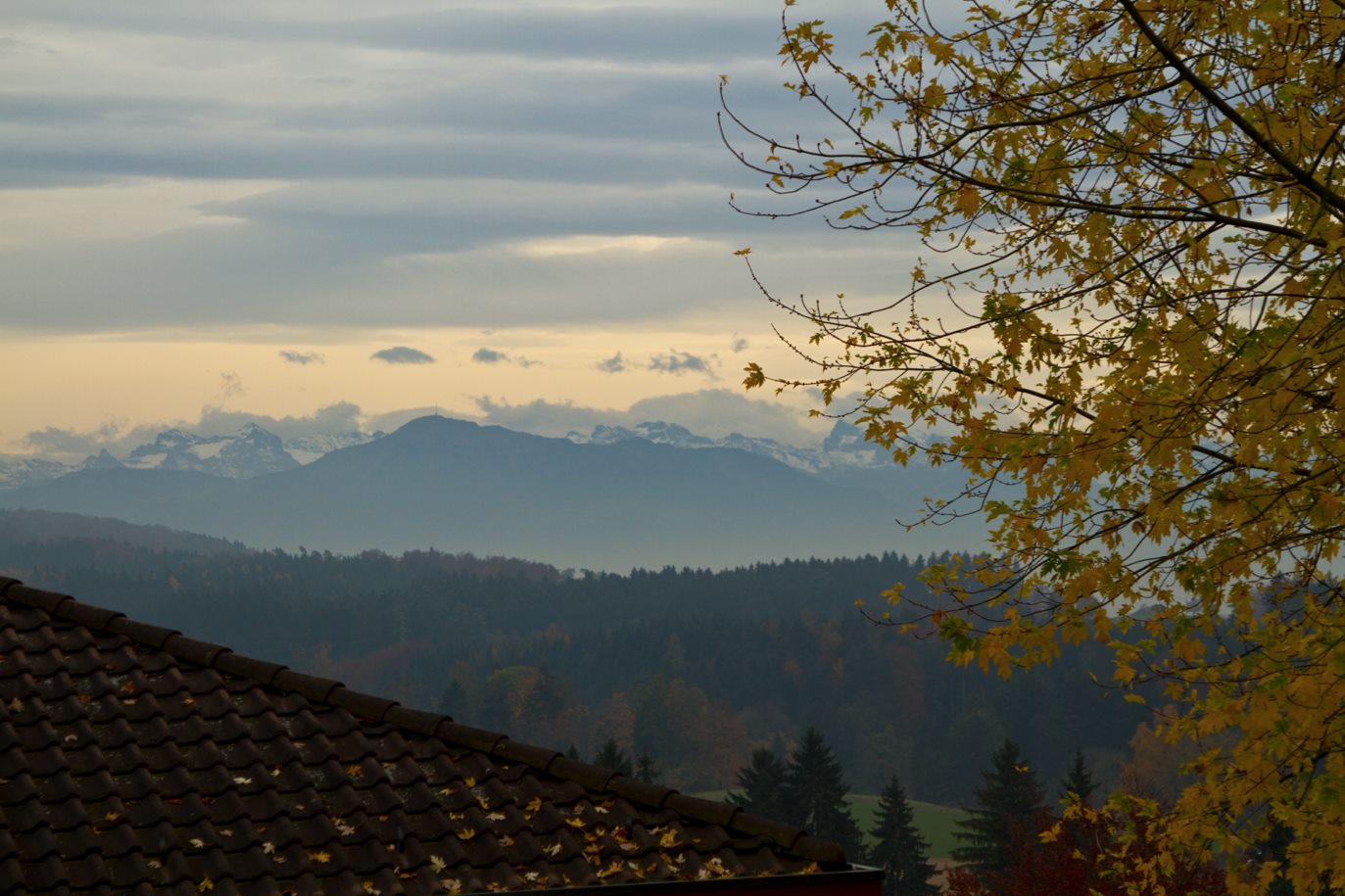View From Home