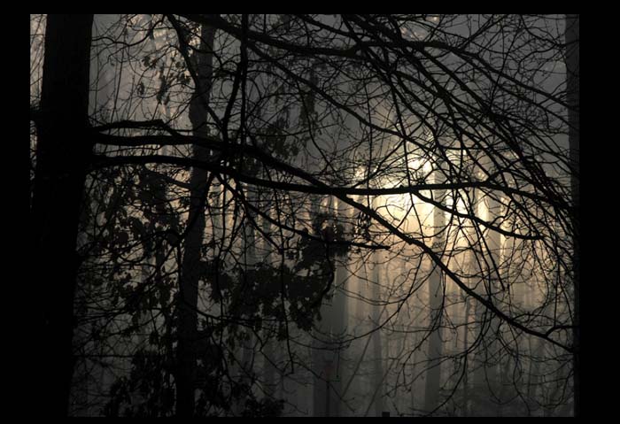 December Fog