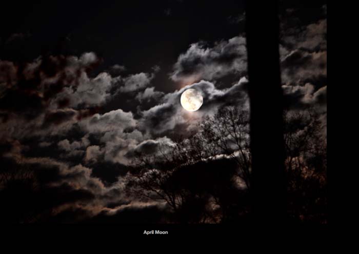 Spring Moon