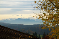 View From Home