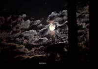 Spring Moon