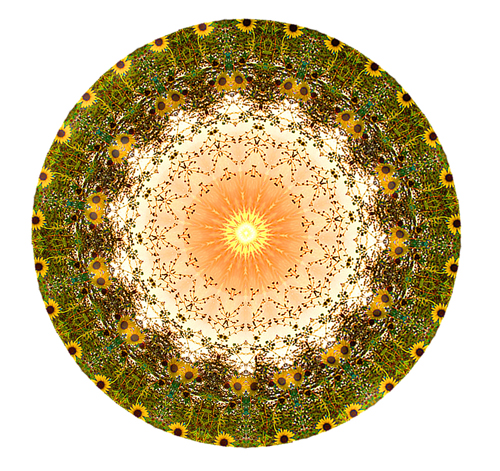 BlackEyedSusans