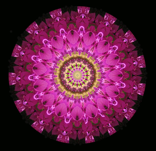 azaleaGarden